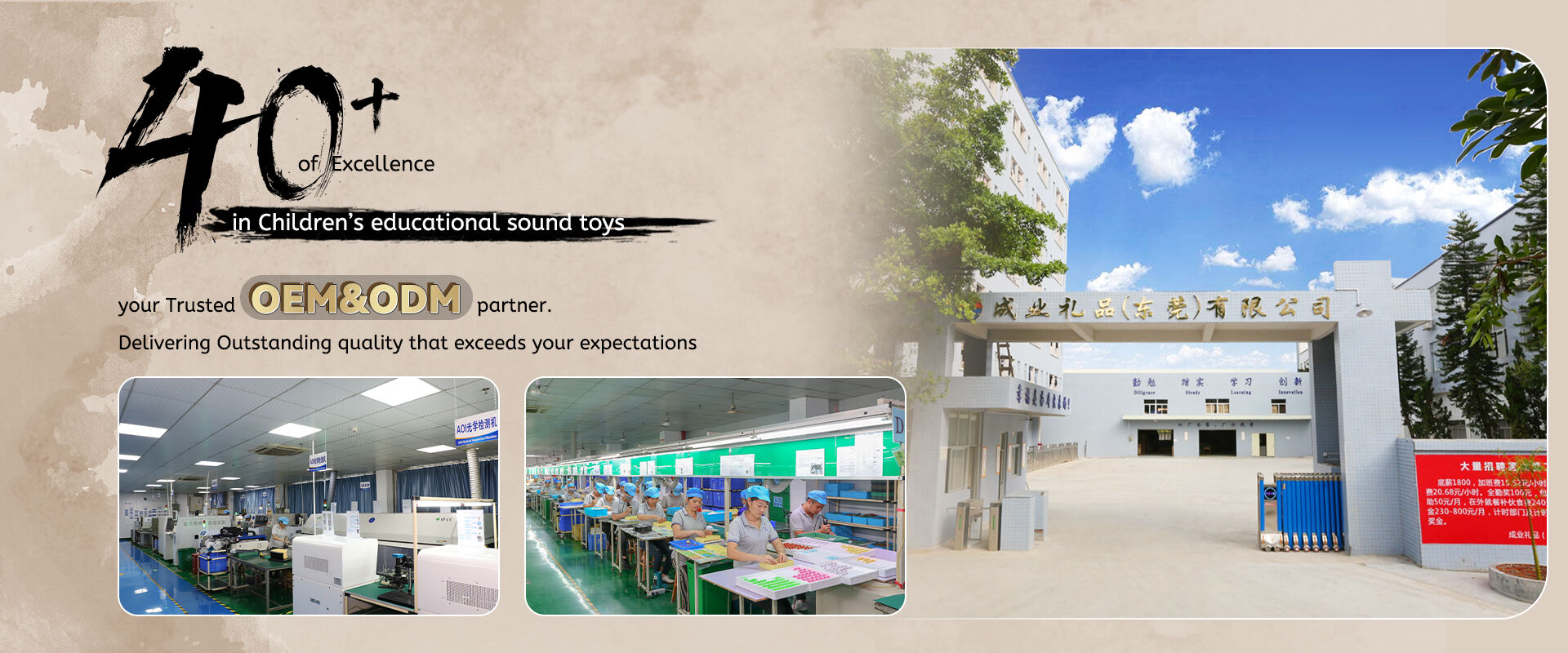 Portfolio of OEM educational audio products